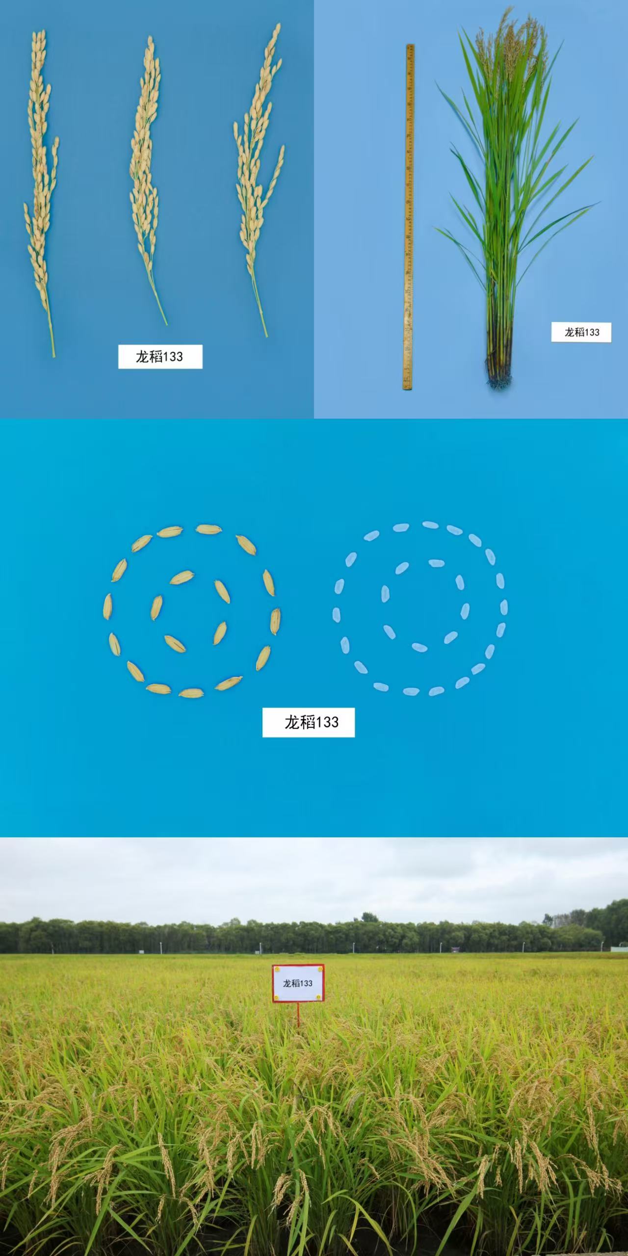 微信图片_20250519112643.jpg