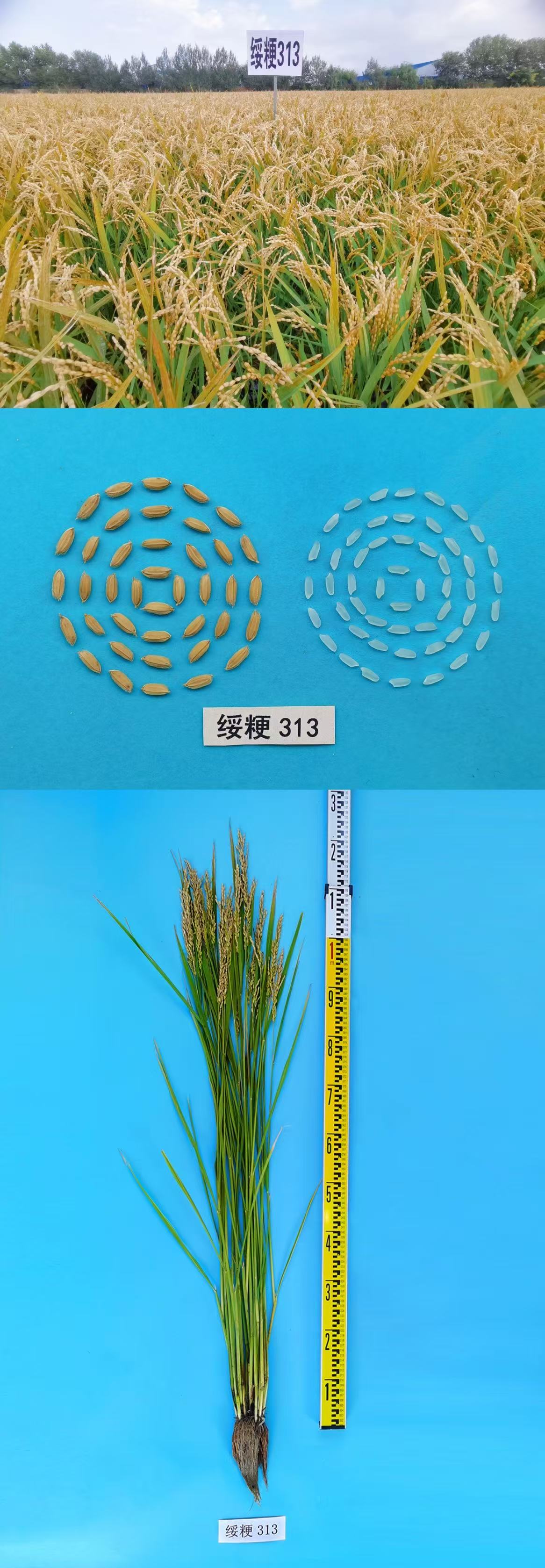 3cb881e8a0acd2bcbd6cd1342cf4d20.jpg