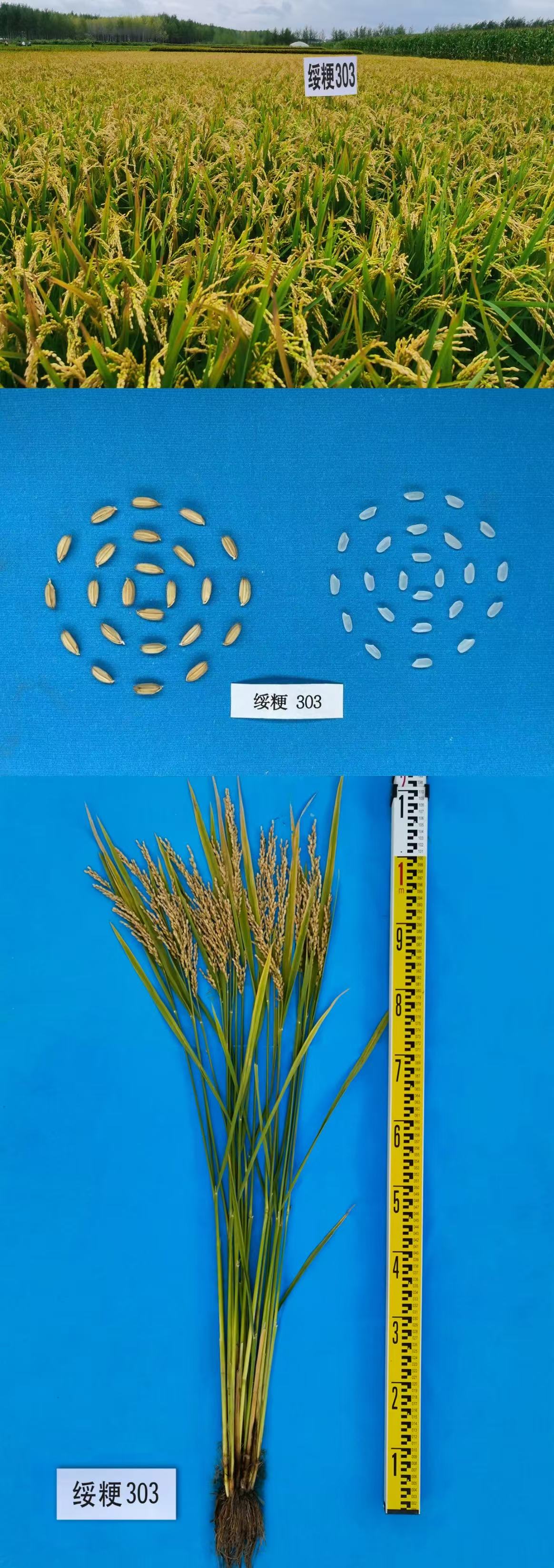 微信图片_20250522101039.jpg