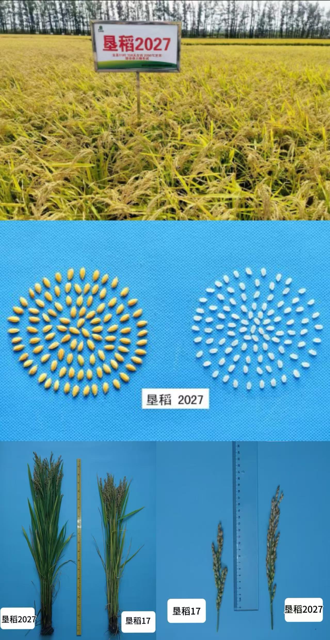 微信图片_20250523090809.jpg