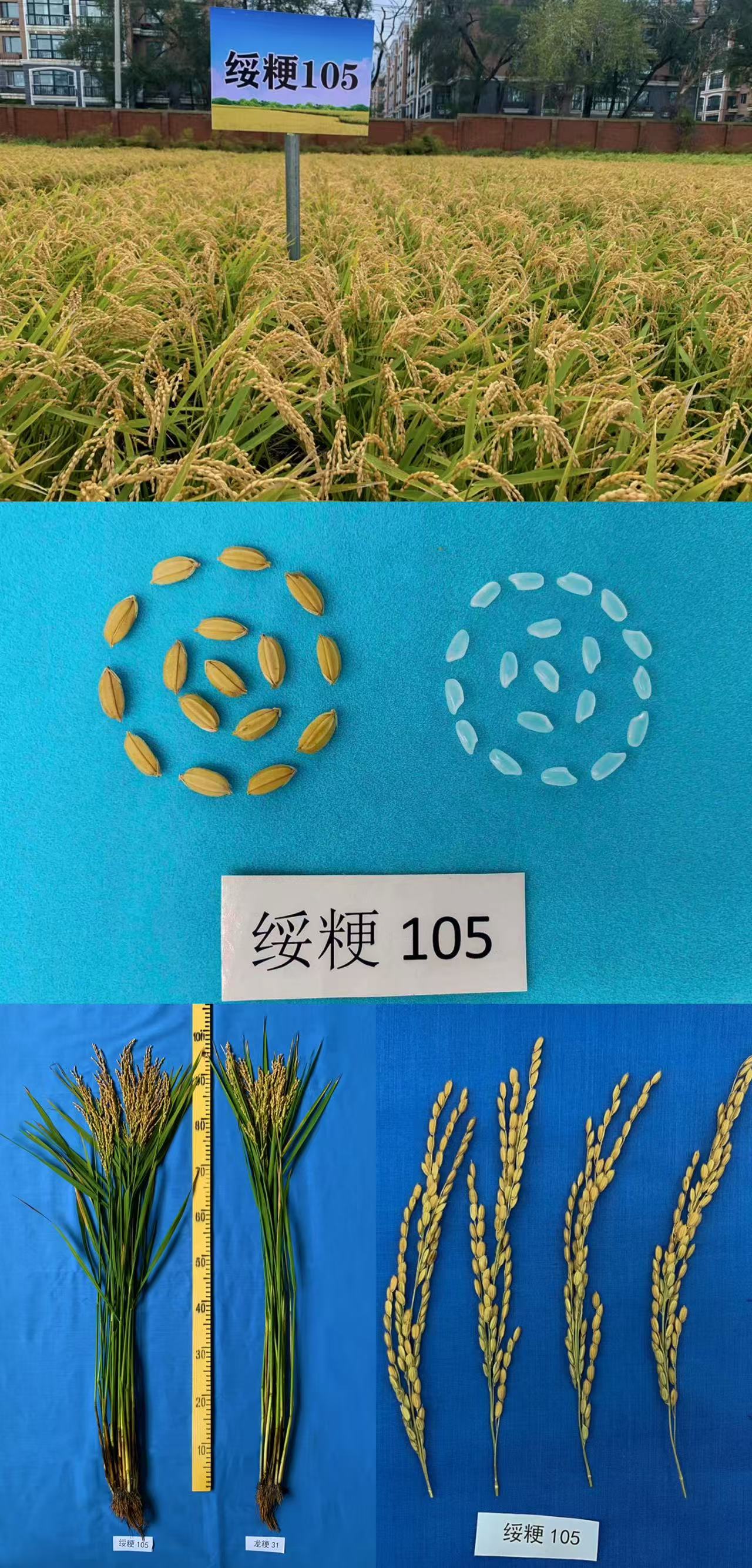 微信图片_20250523094406.jpg