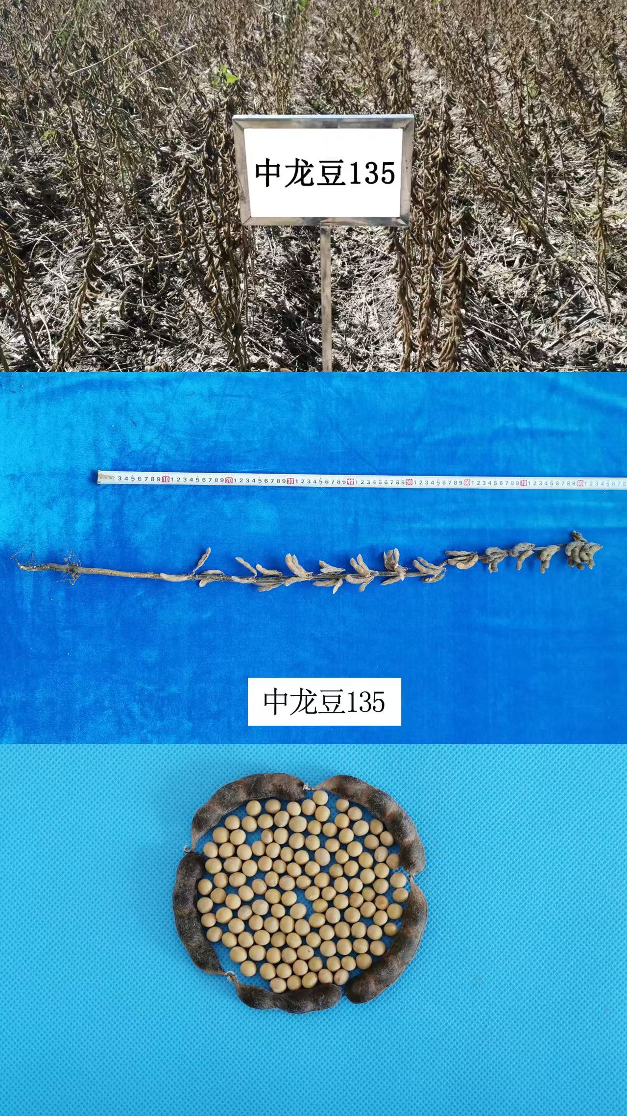 微信图片_20250606133922.jpg