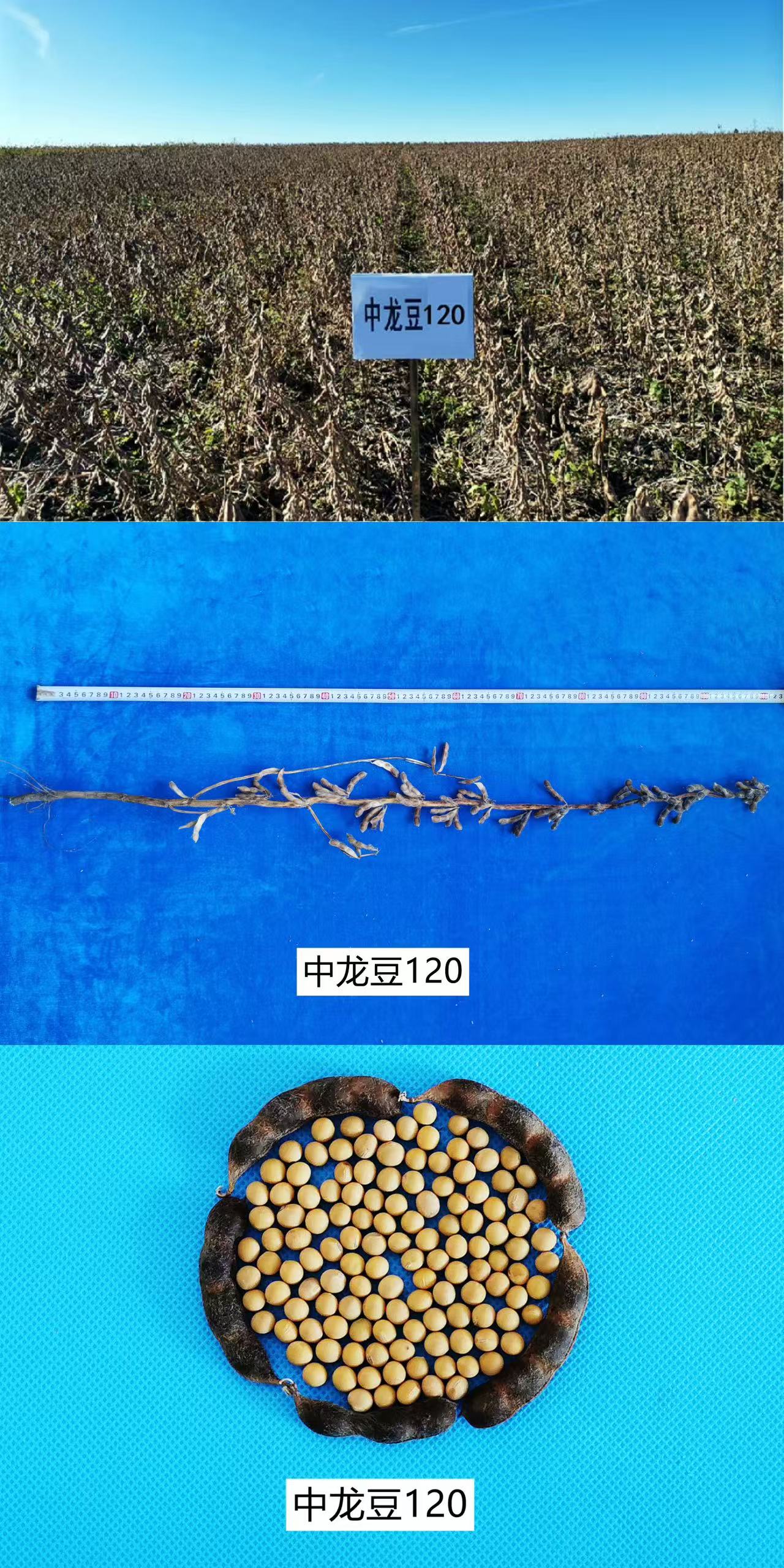 微信图片_20250606134643.jpg