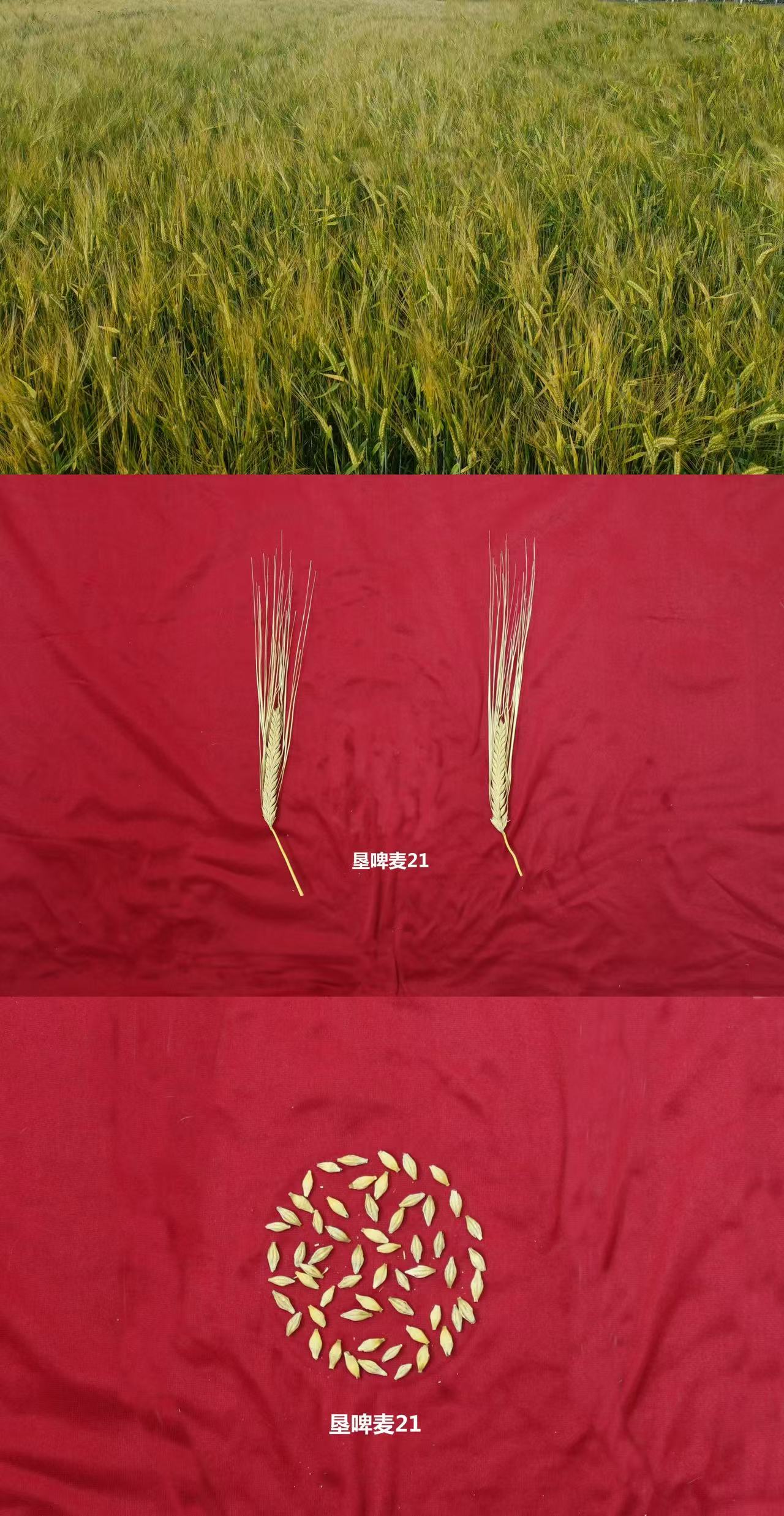 微信图片_20250610134310.jpg