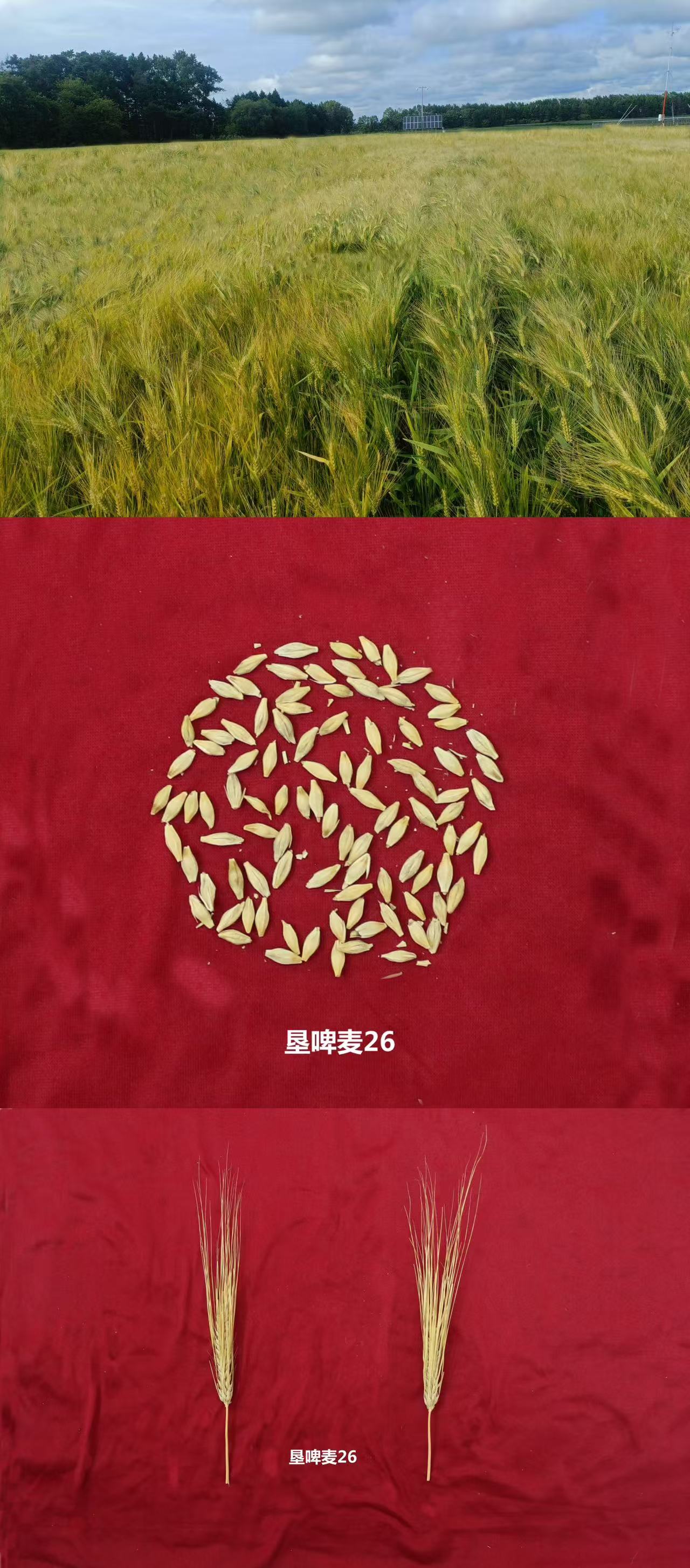 微信图片_20250610135453.jpg