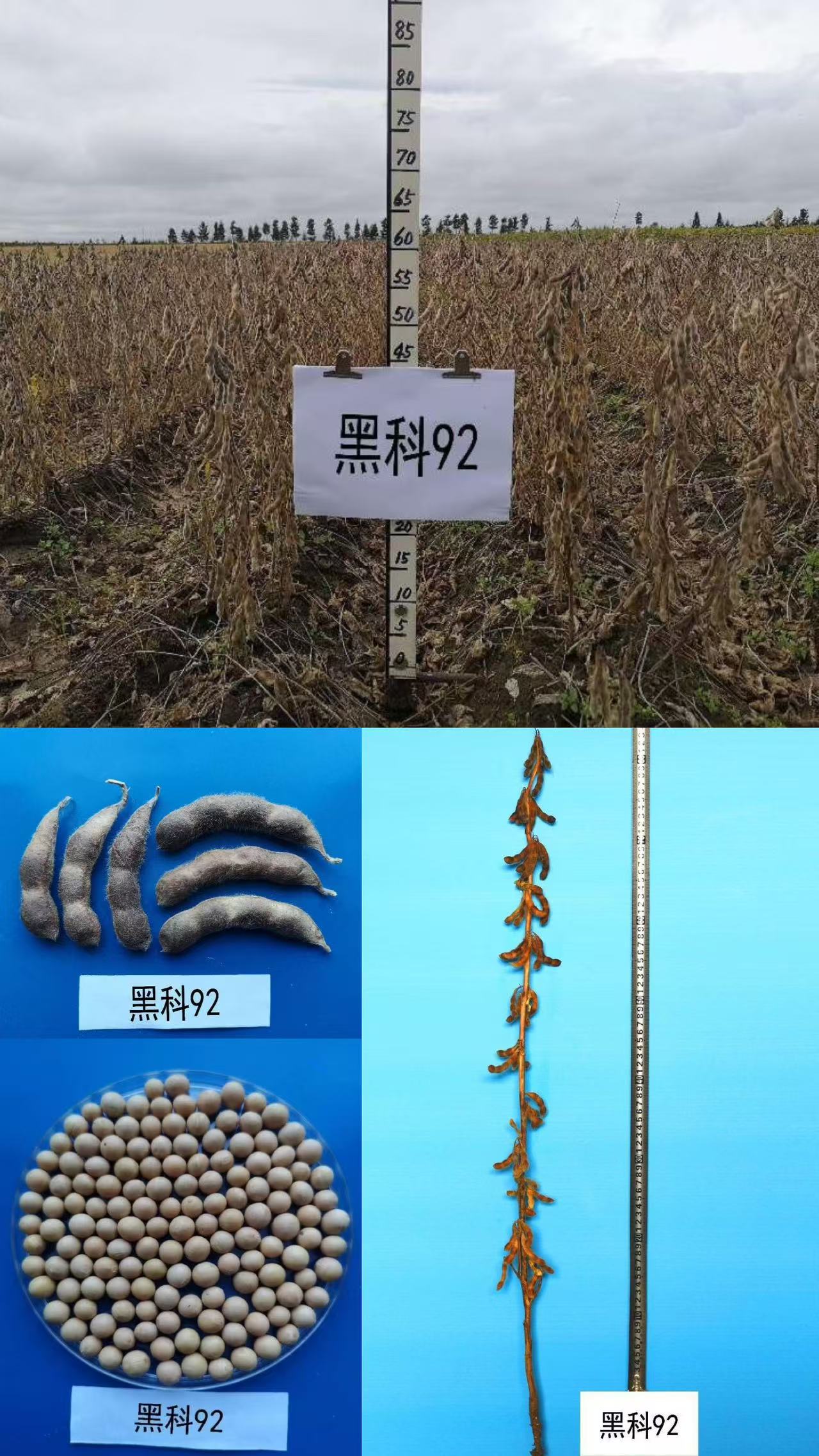 微信图片_20250610140329.jpg