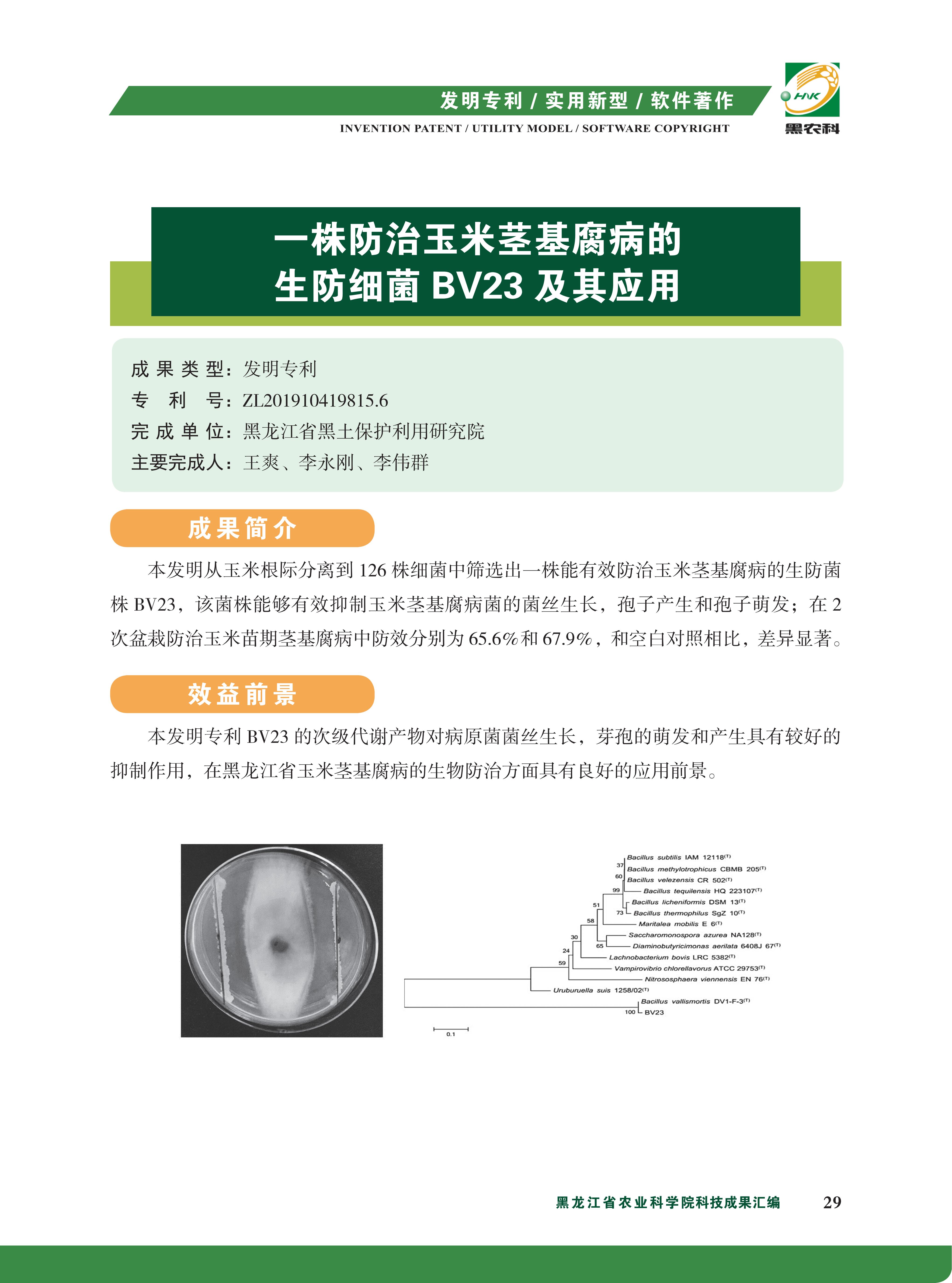 专利技术内页--_41.jpg