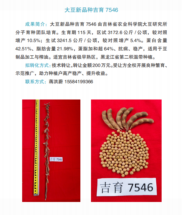 bbebc034f062827af300a09a596041cc.png