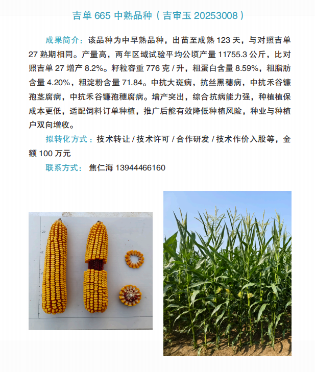 0cbc05f50e446d6a1c75c5e361a0a816.png
