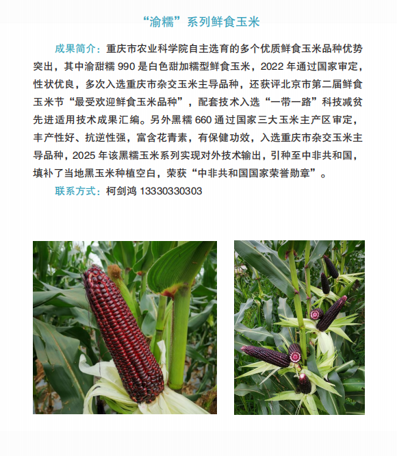 ab96e43d5013af64afffc87ef99ef48e.png