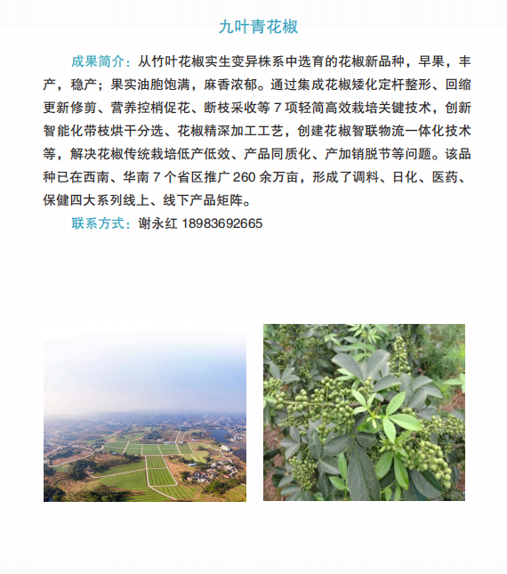 5ea171dcd4e6cdfa795a8618fb3a4b60.png