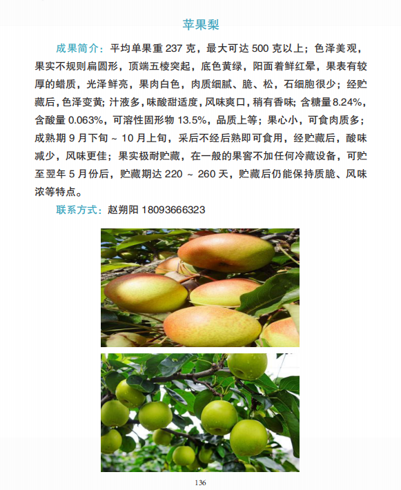 999e96d586539c06c5b1764cd34dcc6b.png