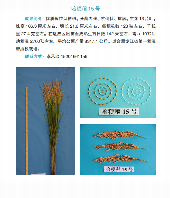 00217a326d7ed92683f9d6a37b95a49e.png