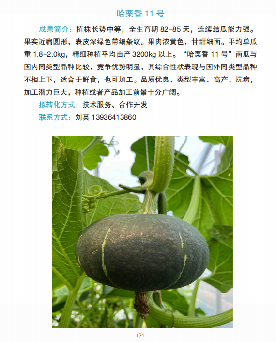 e1c30e7b0038a47f66f82aaaad4aadc5.png